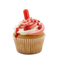 Raspberry Swirl Gourmet Cupcake